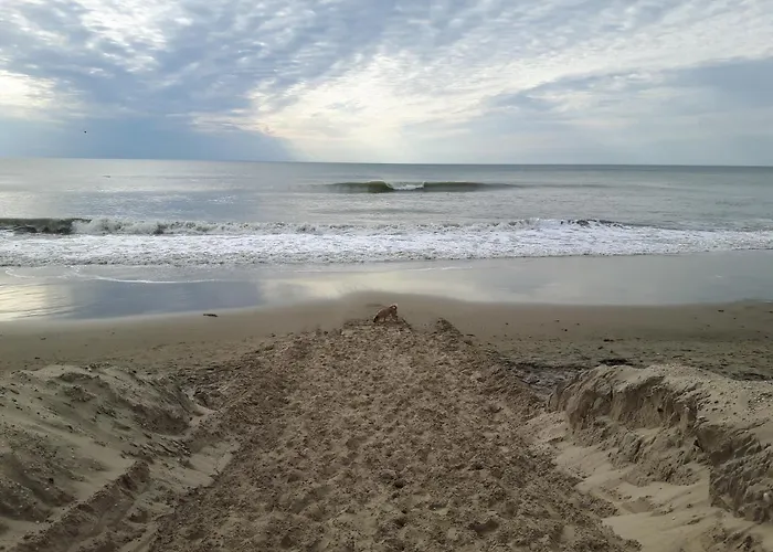 Sur A 500 M De La N 5 Soulac-sur-Mer